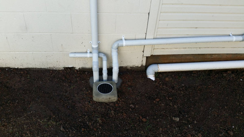 Tree Roots in Drains: Signs, CCTV Inspection and Repair Options